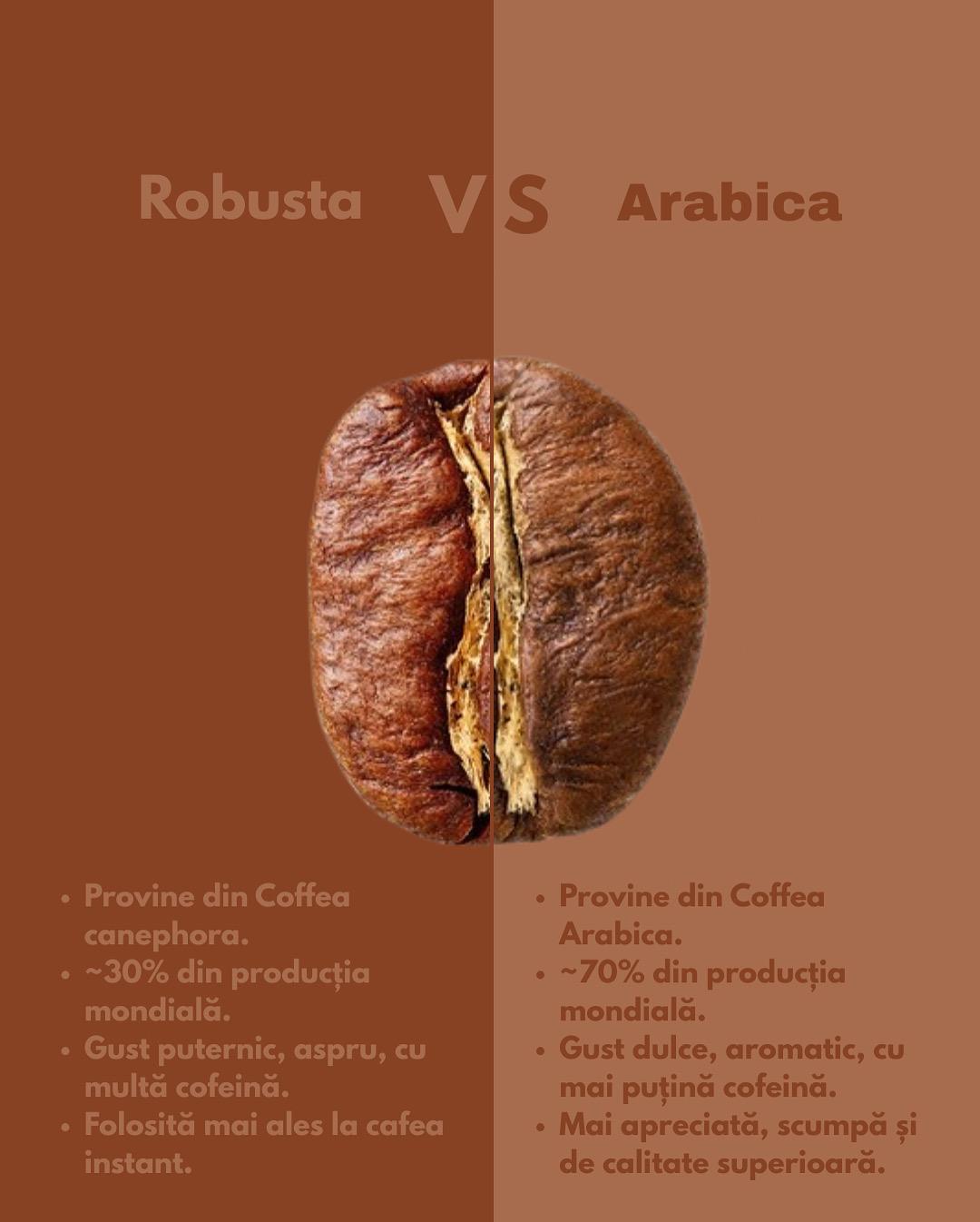Arabica vs. Robusta: Duelul Boabelor de Cafea. Care este alegerea ta?