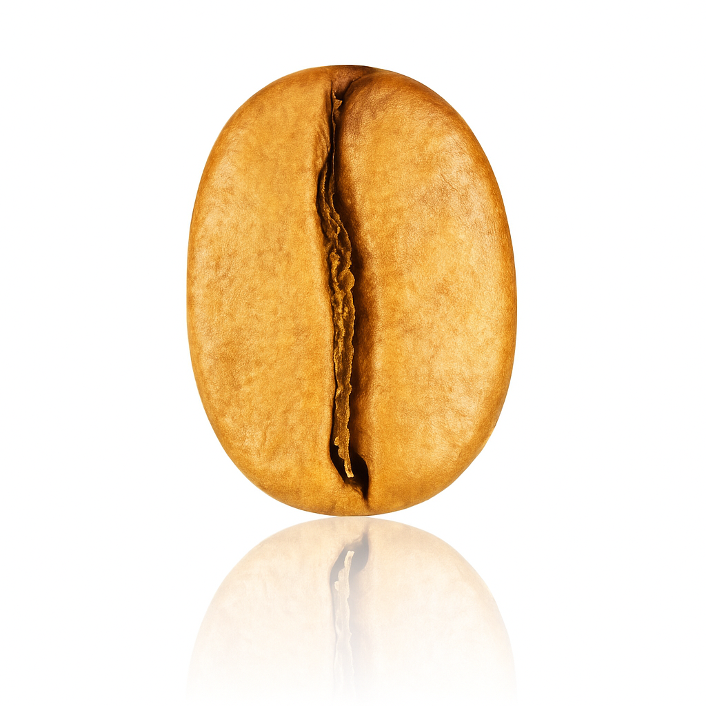 Cafea Arabica